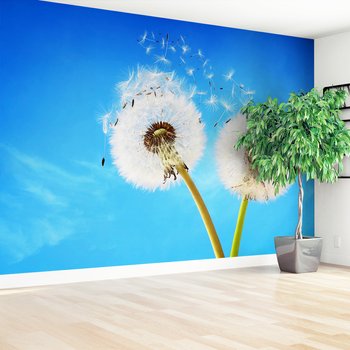 Fototapeta - dmuchawce, niebo, natura