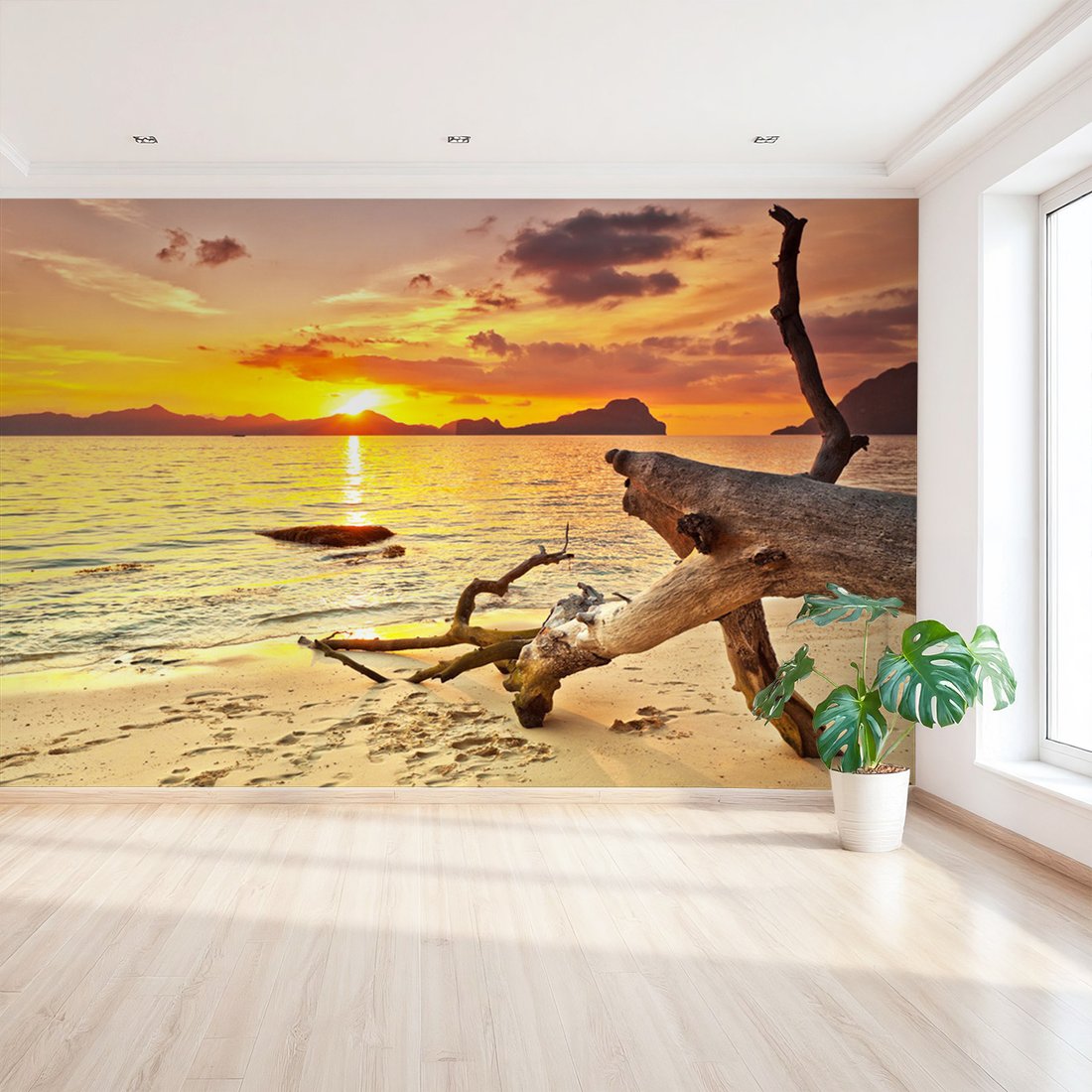 Fototapeta - plaża, zachód słońca, morze