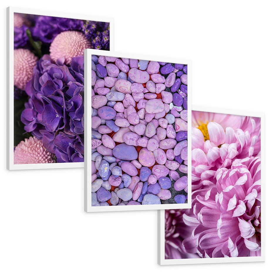Zestaw obrazy w ramie, plakaty - kwiaty, kamienie, fioletowy - rama biała