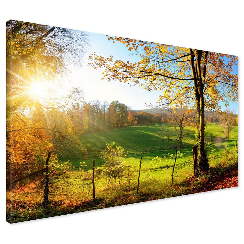 Obraz na płótnie - krajobraz, jesień, drzewa