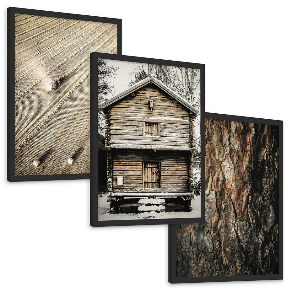Zestaw obrazy w ramie, plakaty - ziemia, traktor, kora - rama czarna