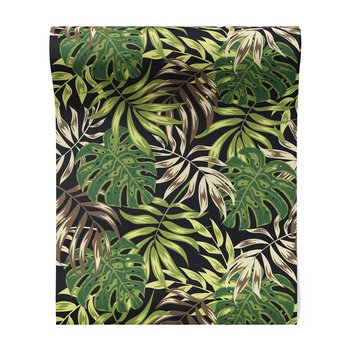 Tapeta - liście, monstera, natura