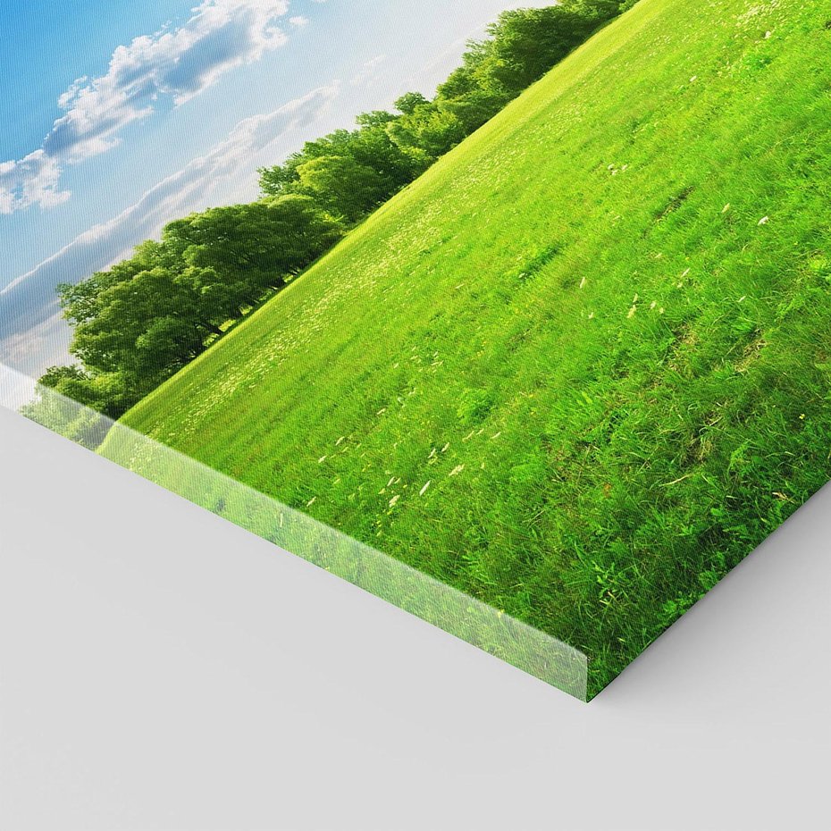 Obraz na płótnie - łąka, niebo, chmury