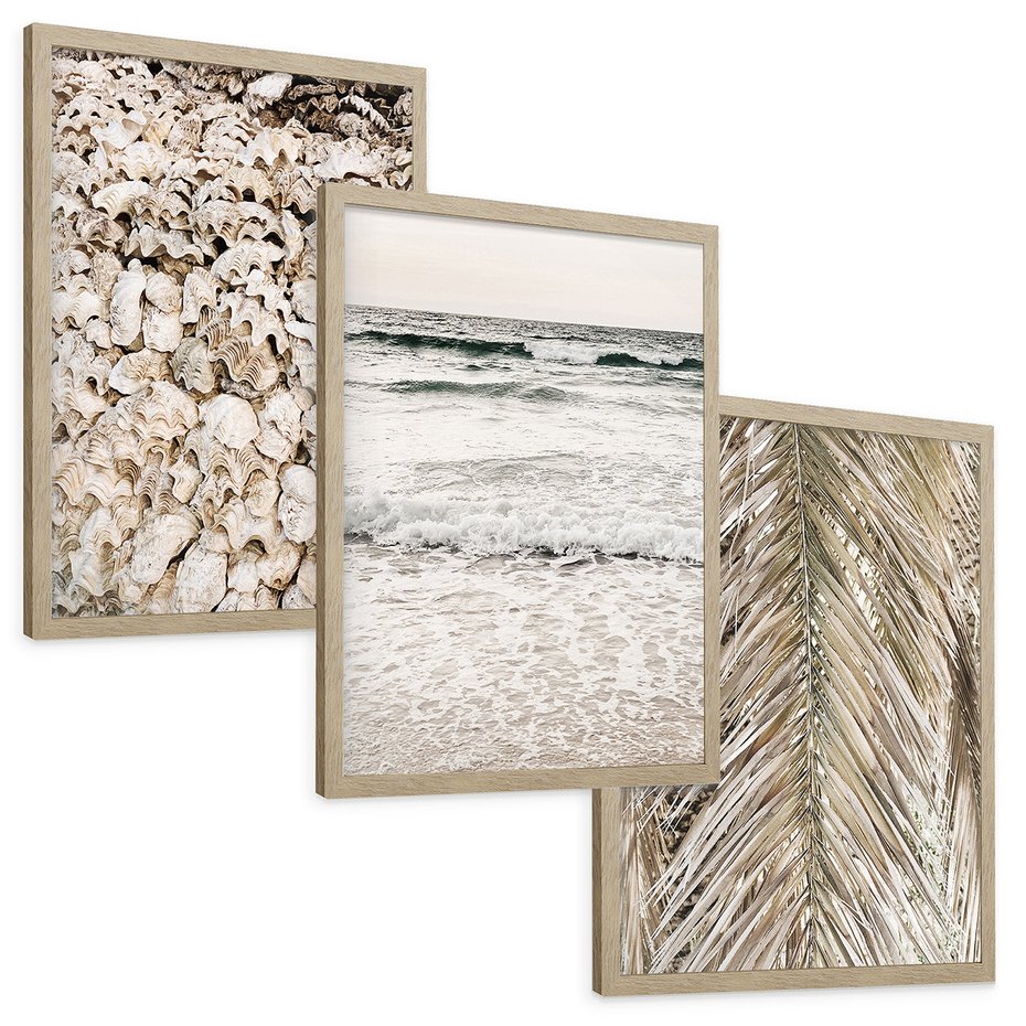 Zestaw obrazy w ramie, plakaty - muszle, morze, liście - rama drewno