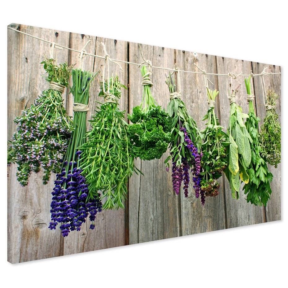 Obraz na płótnie - zioła, suszenie, dekoracja