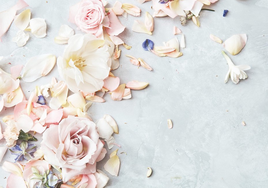 Fototapeta - kwiaty, płatki, róże