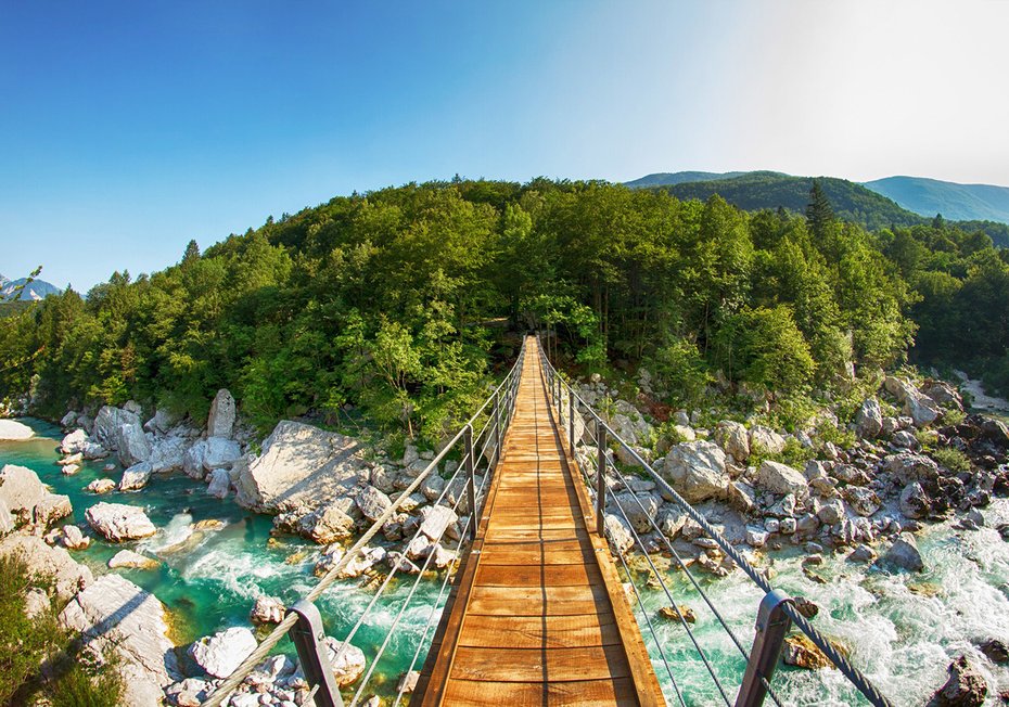 Fototapeta - most, rzeka, las