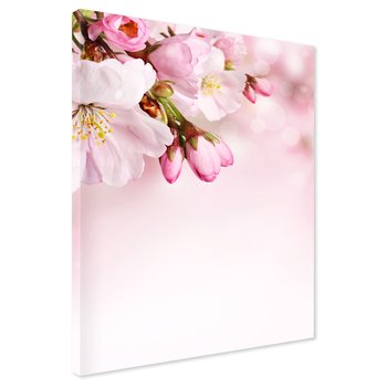 Obraz na płótnie - kwiaty, różowy, wiosna