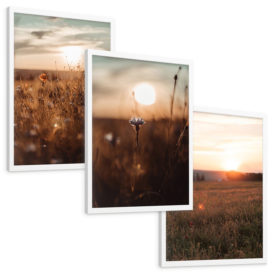 Zestaw obrazy w ramie, plakaty - pole, kwiaty, słońce - rama biała