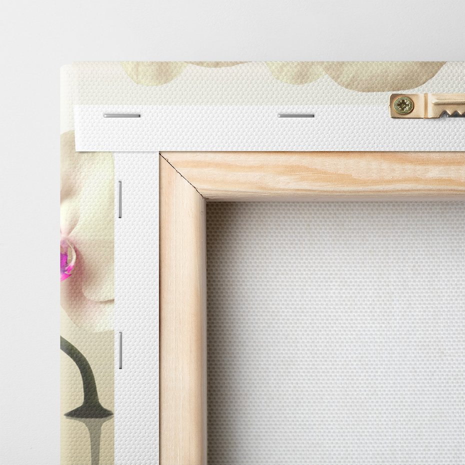 Obraz na płótnie - orchidee, kwiaty, elegancja