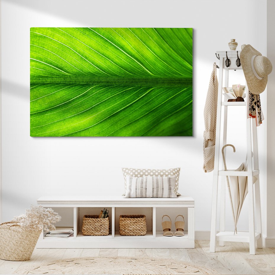 Obraz na płótnie - liść, zieleń, natura