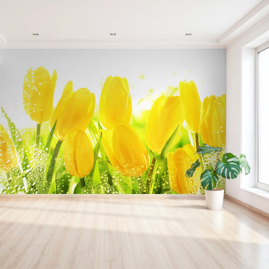 Fototapeta - tulipany, kwiaty, żółte