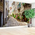 Fototapeta - uliczka, kwiaty, budynki