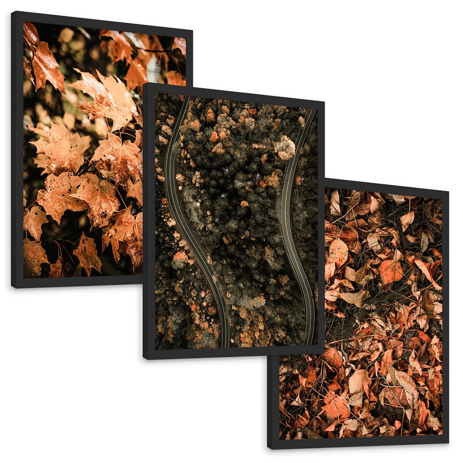 Zestaw obrazy w ramie, plakaty - liście, jesień, droga - rama czarna