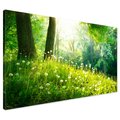 Obraz na płótnie - las, drzewa, natura