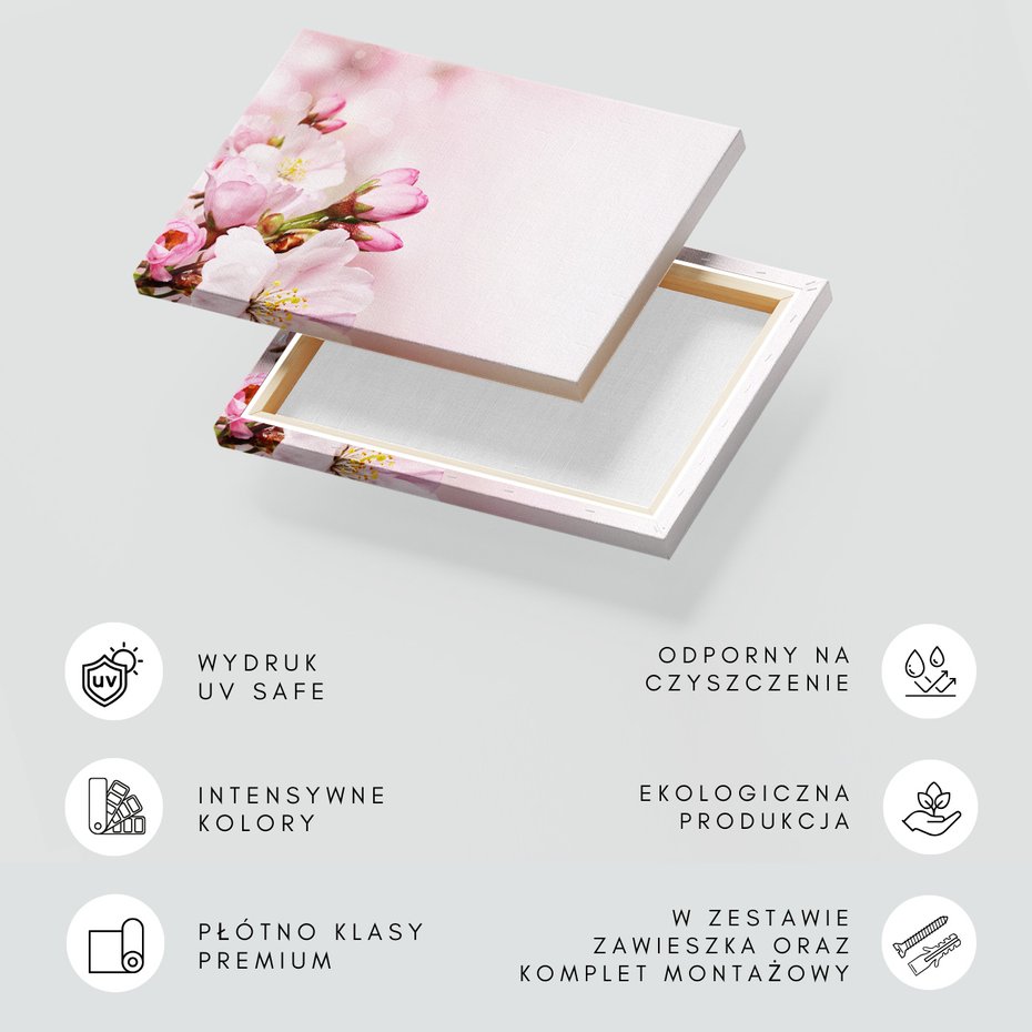 Obraz na płótnie - kwiaty, różowy, wiosna