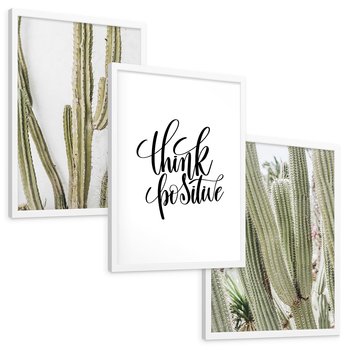 Zestaw obrazy w ramie, plakaty - kaktusy,rośliny,tekst - rama biała