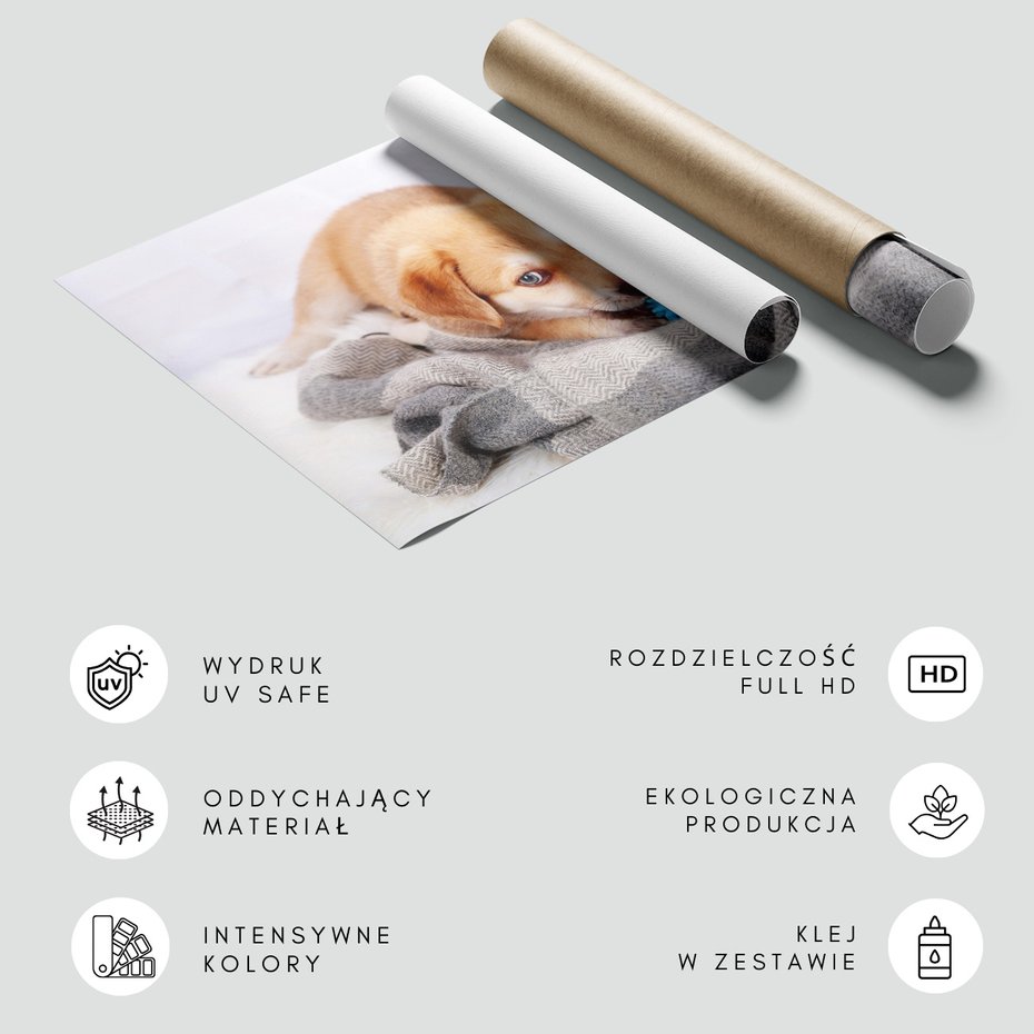 Fototapeta - szczeniak, pies, zabawa