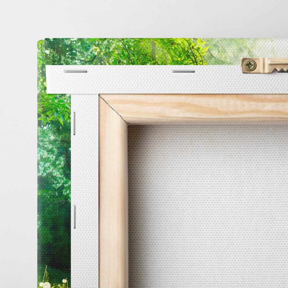 Obraz na płótnie - las, drzewa, natura