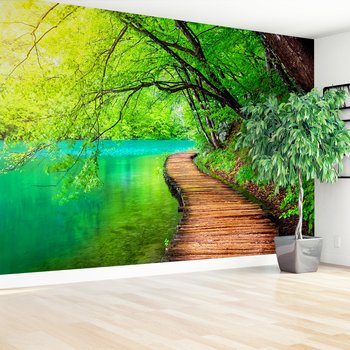 Fototapeta - las, woda, ścieżka