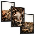 Zestaw obrazy w ramie, plakaty - liście, roślinność, brązowy - rama czarna
