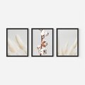 Zestaw obrazy w ramie, plakaty - bawełna, trawa, puszysty - rama czarna