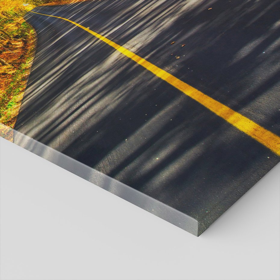 Obraz na płótnie - jesień, droga, las