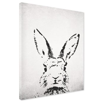 Obraz na płótnie - królik, zwierzę, portret