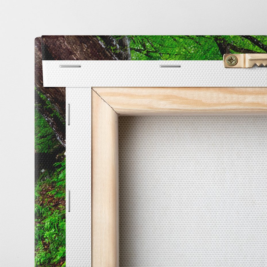 Obraz na płótnie - las, woda, natura