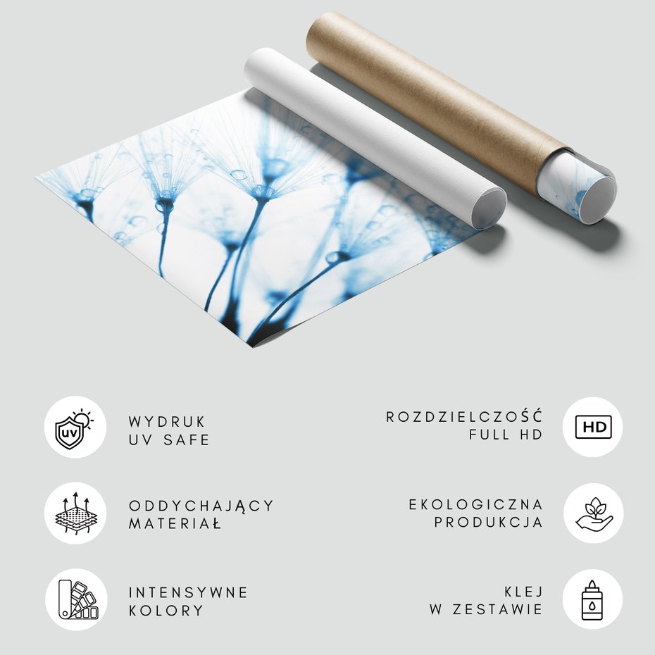 Fototapeta - dmuchawiec, krople, delikatność