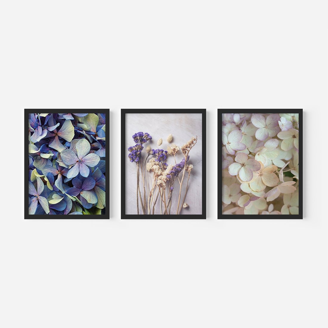 Zestaw obrazy w ramie, plakaty - kwiaty, hortensje, suszone kwiaty - rama czarna