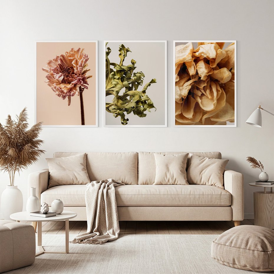 Zestaw obrazy w ramie, plakaty - kwiaty, suche, więdnięcie - rama biała