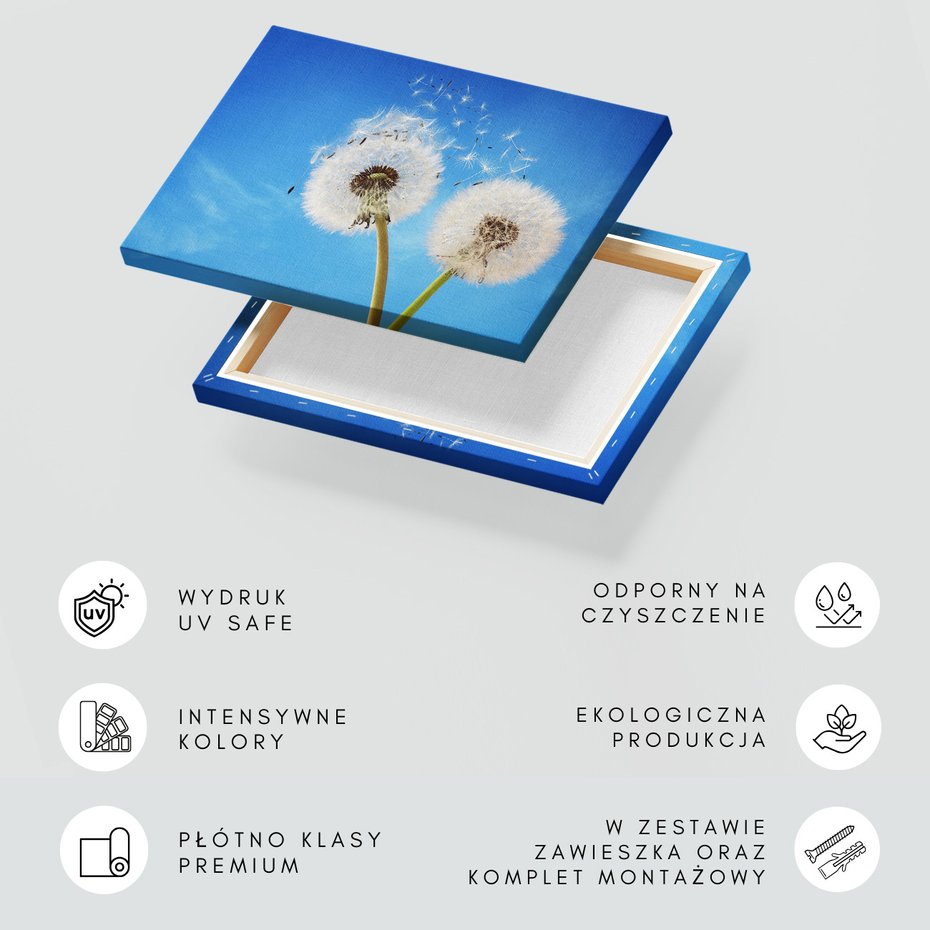 Obraz na płótnie - dmuchawiec, niebo, natura