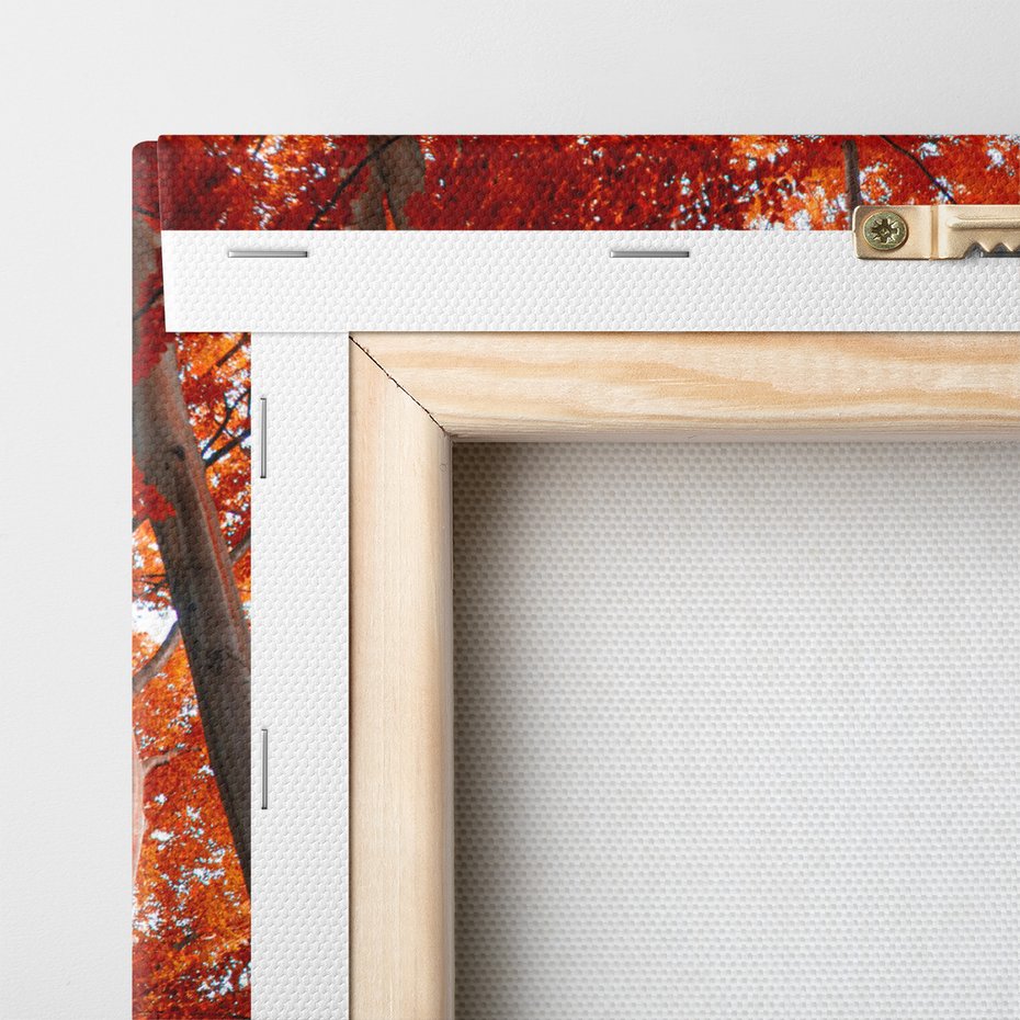 Obraz na płótnie - las, jesień, drzewa