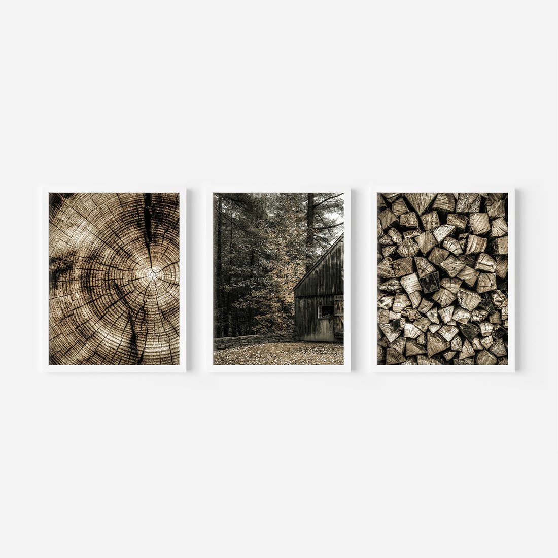 Zestaw obrazy w ramie, plakaty - drewno, kora, natura - rama biała