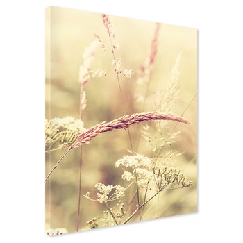 Obraz na płótnie - trawa, kwiaty, natura
