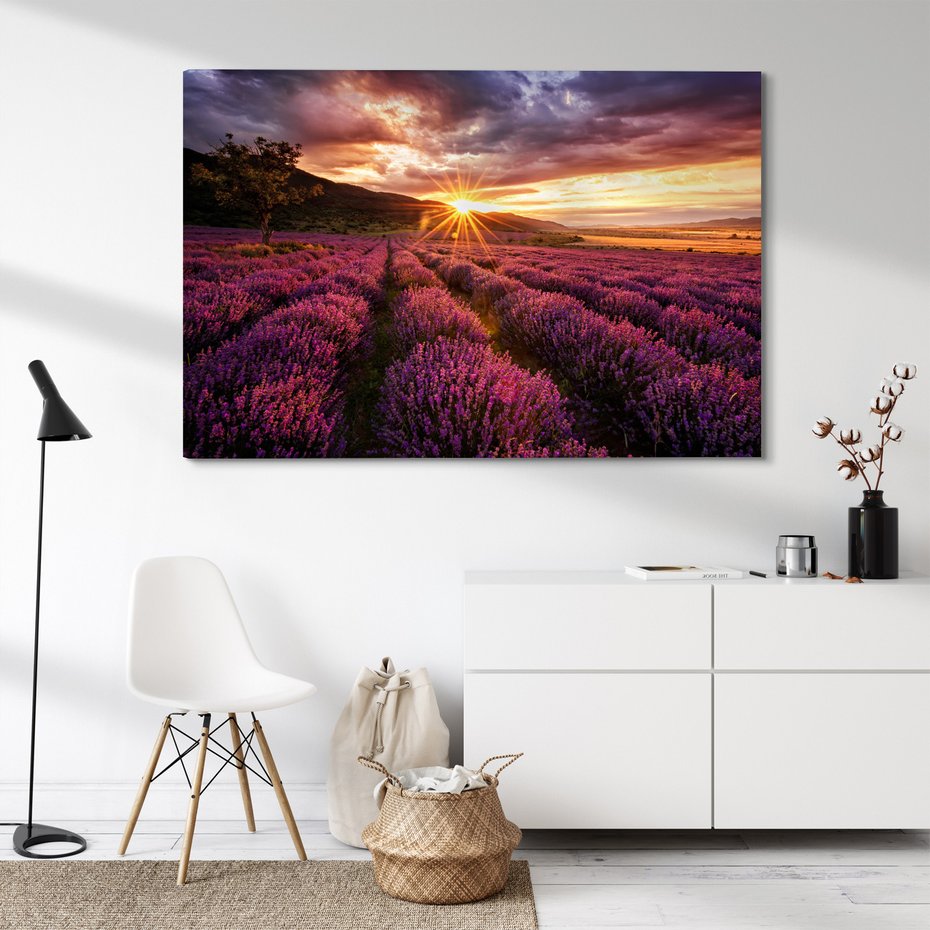 Obraz na płótnie - lawenda, pole, zachód słońca