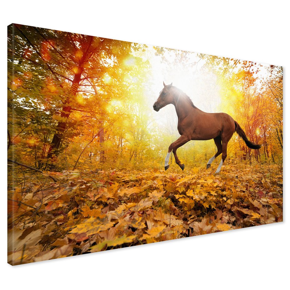 Obraz na płótnie - koń, jesień, las