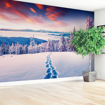 Fototapeta - zima, śnieg, las