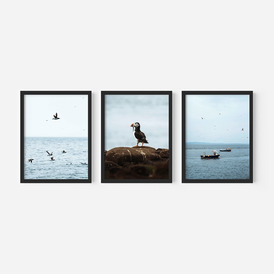 Zestaw obrazy w ramie, plakaty - ptaki, morze, łodzie - rama czarna