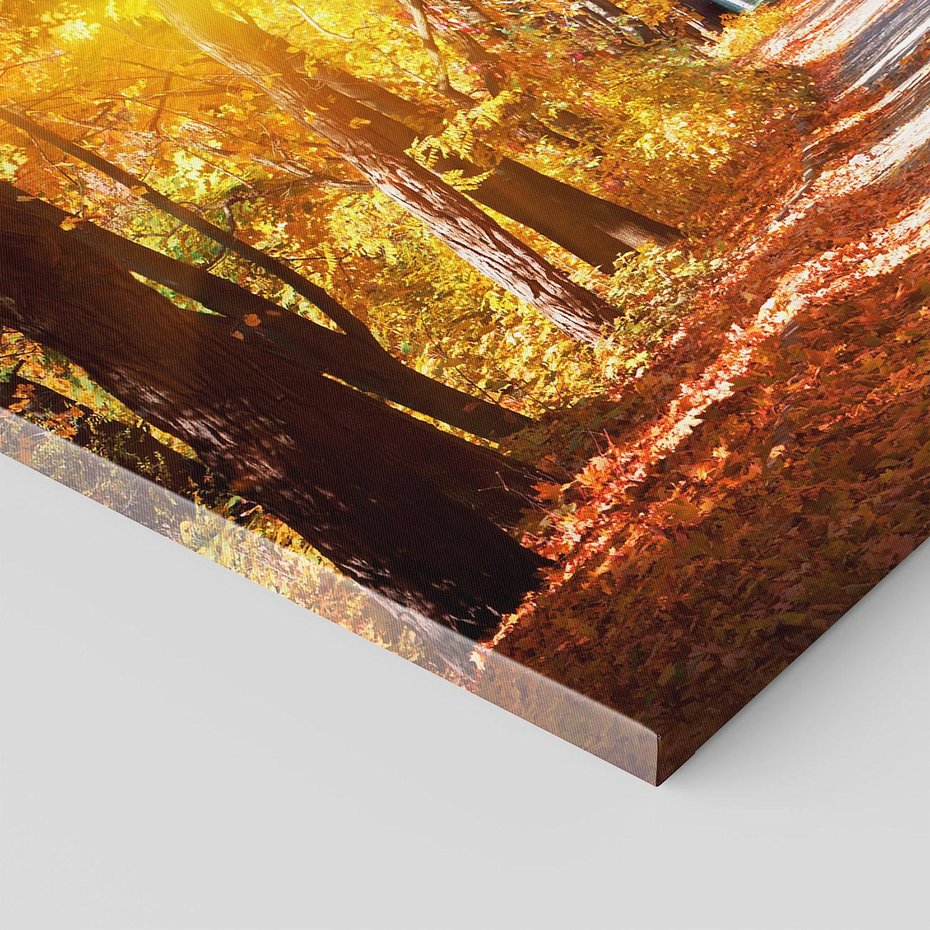 Obraz na płótnie - jesień, liście, drzewa