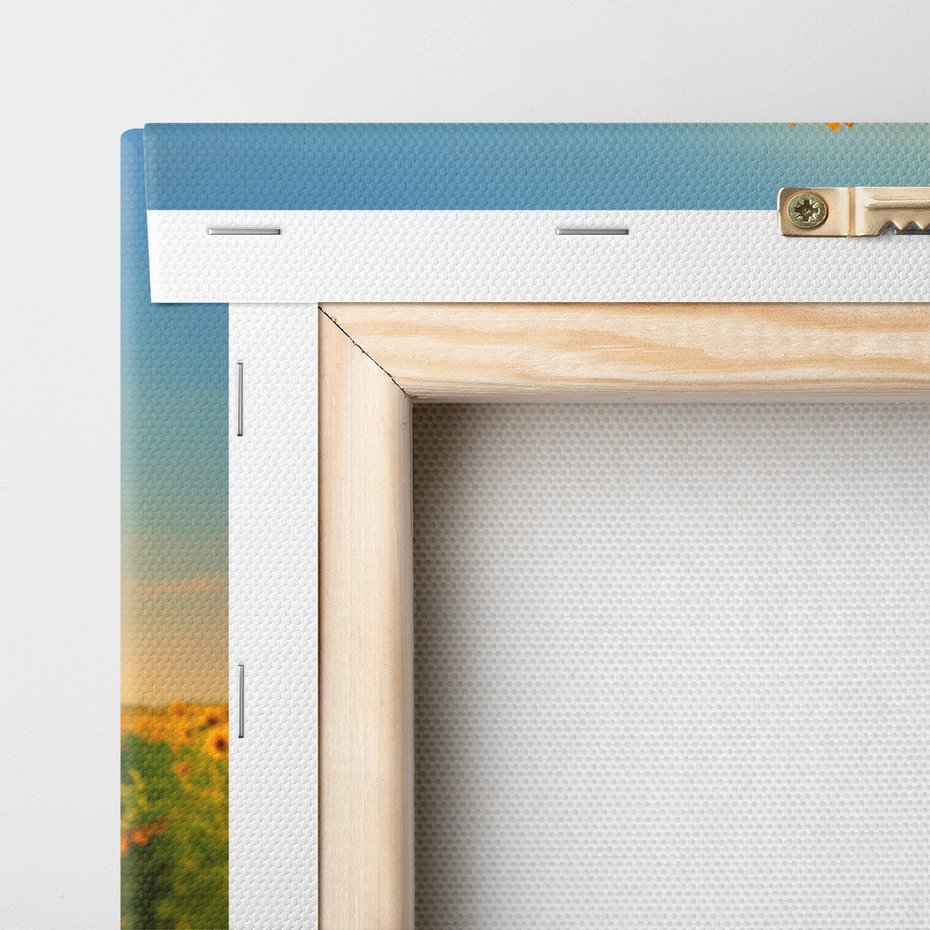 Obraz na płótnie - słoneczniki, pole, lato