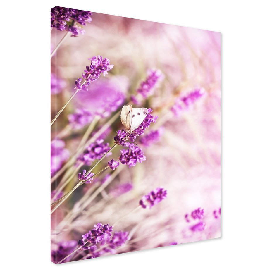 Obraz na płótnie - lawenda, motyl, kwiaty