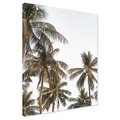 Obraz na płótnie - palmy, tropiki, liście