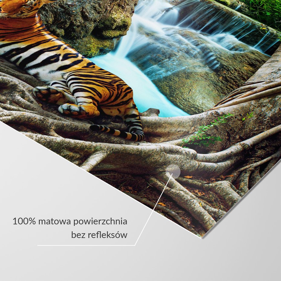 Fototapeta - tygrys, wodospad, natura