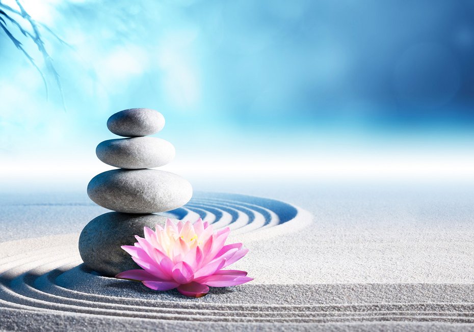 Fototapeta - kamienie, kwiat, zen