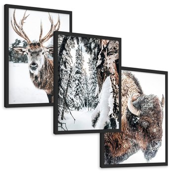 Zestaw obrazy w ramie, plakaty - zwierzęta, zima, śnieg - rama czarna