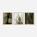 Zestaw obrazy w ramie, plakaty - kaktusy, rośliny, zielony - rama drewno