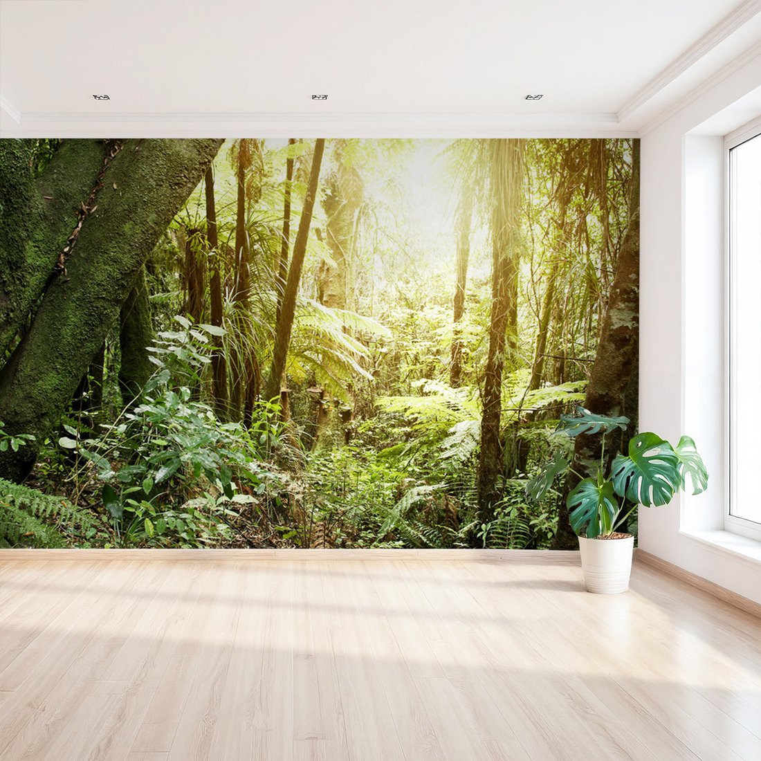 Fototapeta - las, drzewa, natura