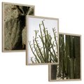 Zestaw obrazy w ramie, plakaty - kaktusy, rośliny, zielony - rama drewno